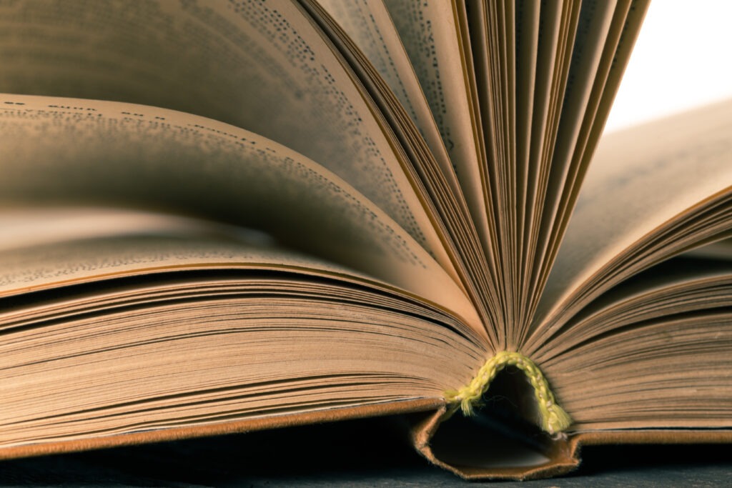 Descriptive alt text for image 2 - This image shows important visual content that enhances the user experience and provides context for the surrounding text.